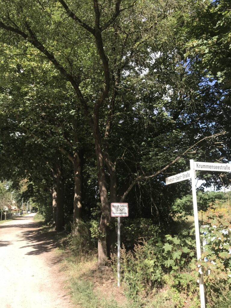 Ökologisch wertvolle Fläche soll bebaut werden