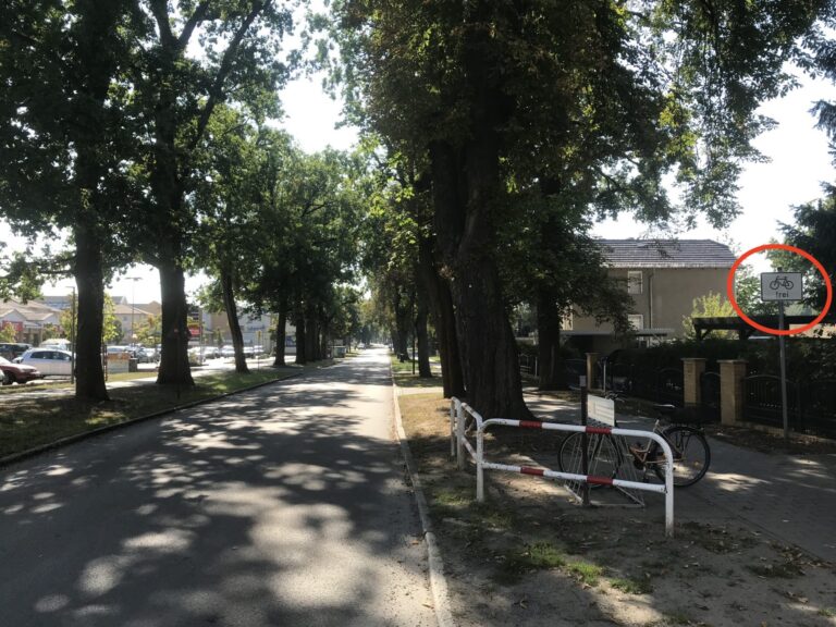 Grüner Erfolg: Brandenburgische Straße für Radfahrer freigegeben