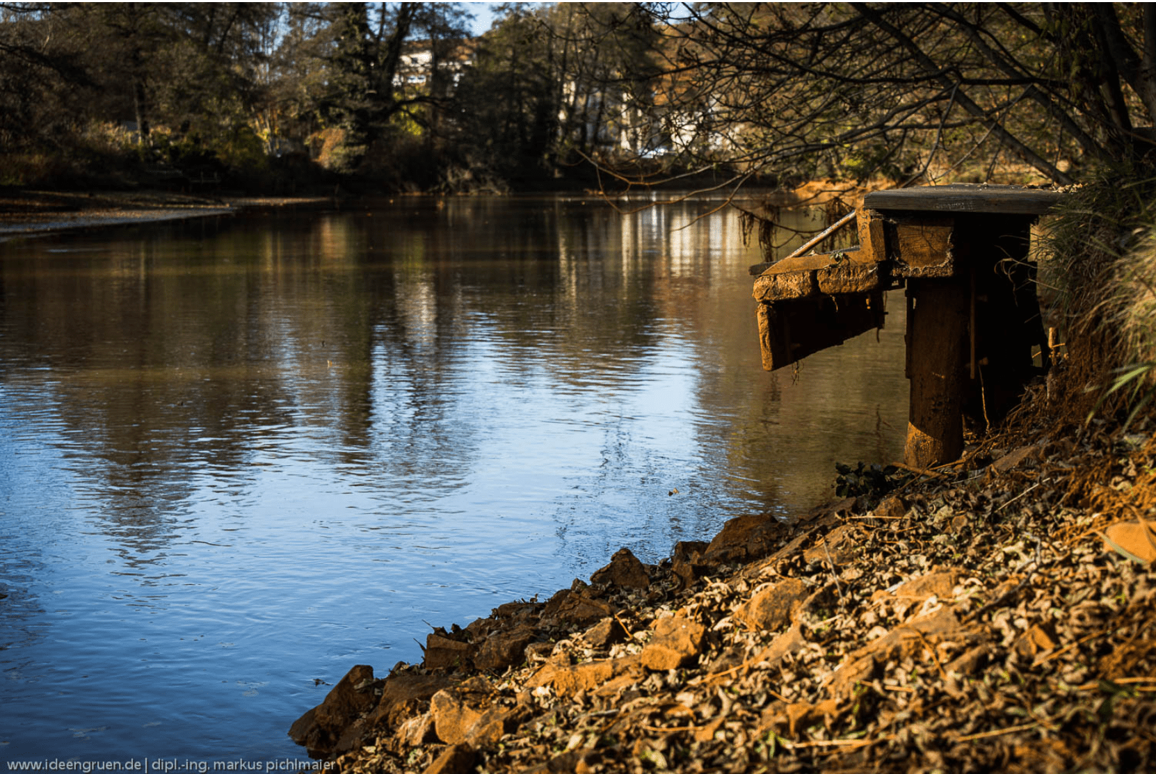 Braune Spree