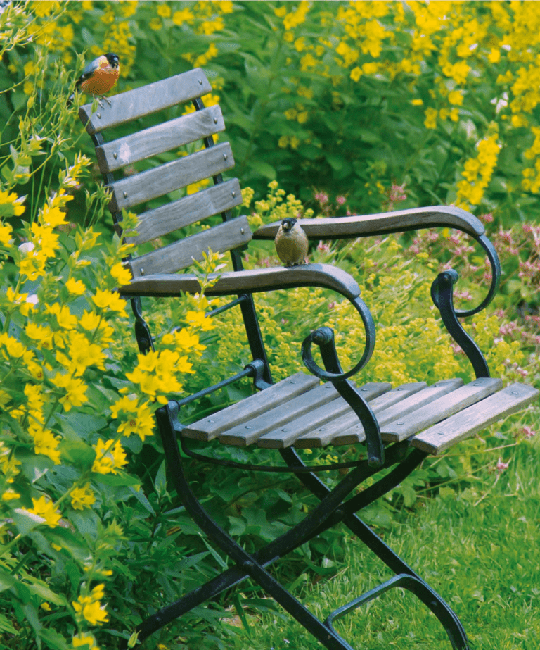 Einladung zur Ausstellung GartenVielfalt – ArtenVielfalt