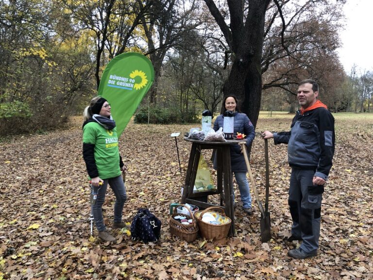 Frühblüher für das Aboretum Fürstenberg