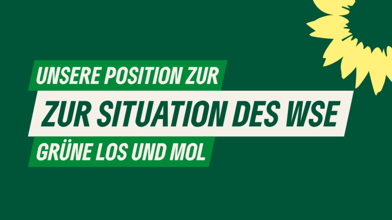 Position der bündnisgrünen Kreisverbände MOL und LOS zur Situation des WSE
