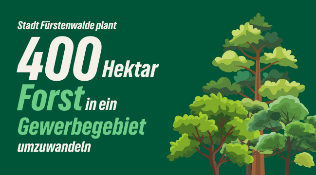 Einladung zur Geländebegehung