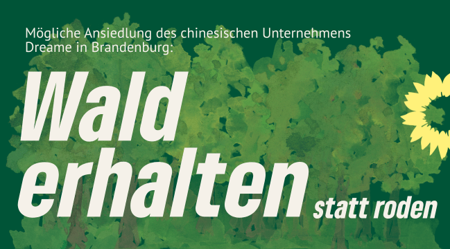 Bündnisgrüne zu Dreame: Neue Ansiedlungen müssen ökologisch und sozial tragfähig sein